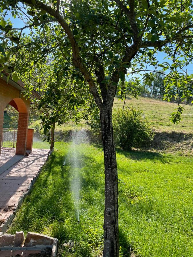 Luxury Villa Arianna Tarano Esterno foto